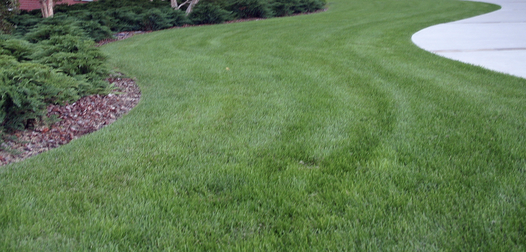 Commercial Grade Landscape Edging Curve