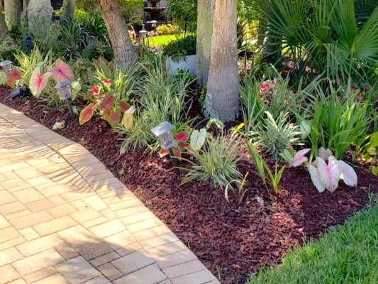 Landscaping with red rubber mulch