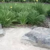 Commercial Grade Landscape Edging Rock Garden