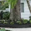 Aluminum Landscape Edging Around a Tree