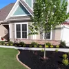 Black Rubber Mulch Landscaping Bed
