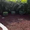 Red Rubber Mulch Landscaping Bed