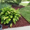 Red Rubber Mulch Landscaping With Borders