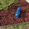Red Rubber Mulch Landscaping with Blue Spring Sculpture