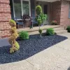 Black Rubber Mulch Landscaping at Entrance