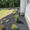 Flower bed with black rubber mulch