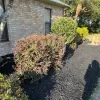 Back Rubber Mulch Front Yard Landscaping