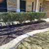 Brown Rubber Mulch Landscaping