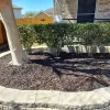 Brown Rubber Mulch Landscaping with Stone Edging