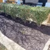 Brown Rubber Mulch Landscaping Garden Bed
