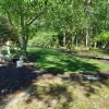 Back Yard Brown Rubber Mulch Landscaping