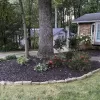 Rubber Mulch Residential Landscape Around a Tree