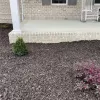 Rubber mulch in garden bed with shrubs