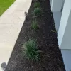 Front Garden Bed Walkway with Brown Rubber Mulch