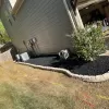 Black rubber mulch side yard landscaping