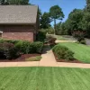Landscape Red Rubber Mulch Front Yard