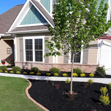 Black Rubber Mulch Landscaping Bed