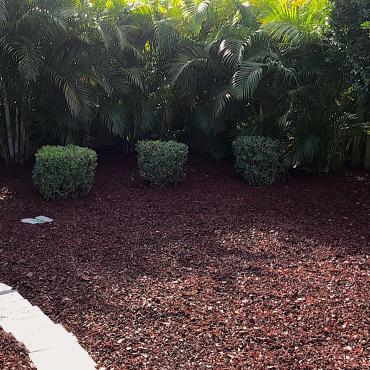 Red Rubber Mulch Landscaping Bed