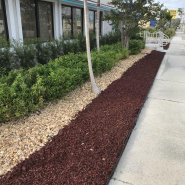 Office building with red rubber mulch landscaping
