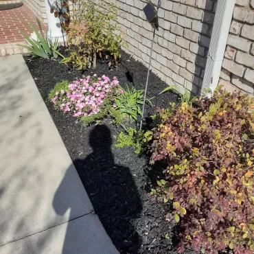 Black Rubber Mulch Garden Beds in Front of House