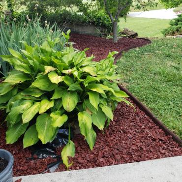 Red Rubber Mulch Landscaping With Borders Red Rubber Mulch Landscaping With Borders