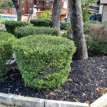 Black Rubber Mulch in Stone Edged Flower Beds
