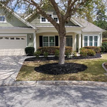 A front yard with black rubber mulch in the garden beds