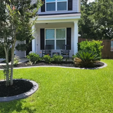 Front Yard Black Rubber Mulch Landscaping