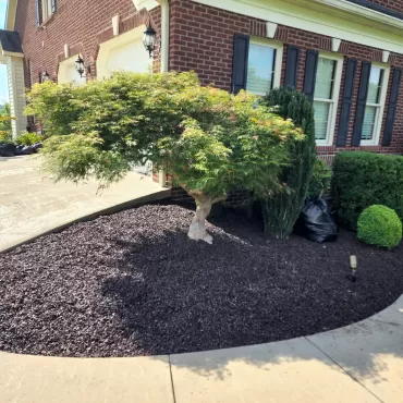 Brown Rubber Mulch Residential Landscaping