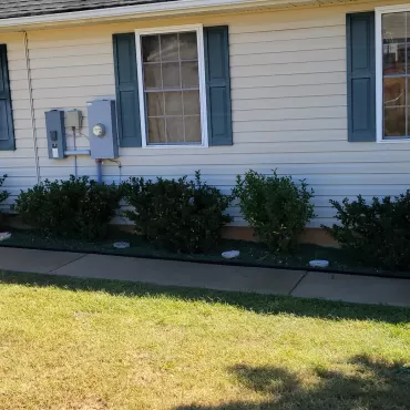 Front walkway of house lined with green rubber mulch