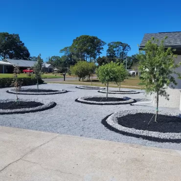 Rubber Mulch in Front Tree Rings