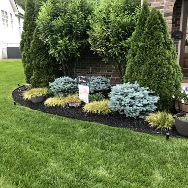 Rubber Mulch Landscaping
