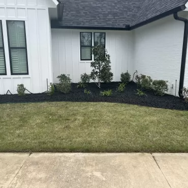 White House with Black Rubber Mulch Landscaping