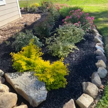 Rubber Mulch Landscaping with Stone Border Zone