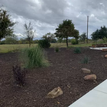 Landscape with rubber mulch as alternative to grass