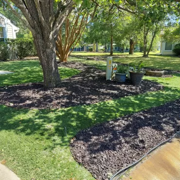 Front Yard Brown Rubber Mulch Landscaping