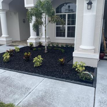 Front Beds With Black Landscape Rubber Mulch