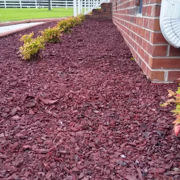 Red Rubber Mulch Home Landscaping