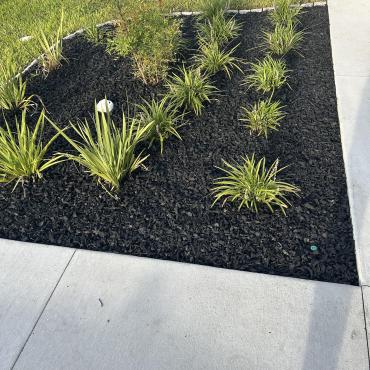 Rubber Mulch in Flower Beds