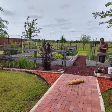 Rubber mulch pathway in raised garden