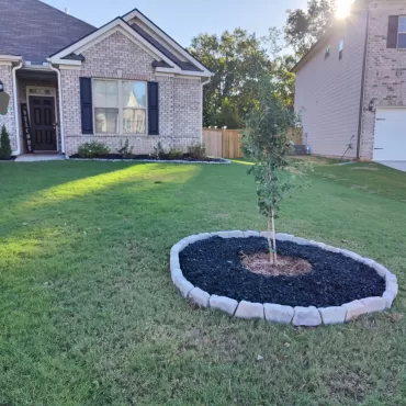 Black rubber mulch surrounding a tree with stone edging