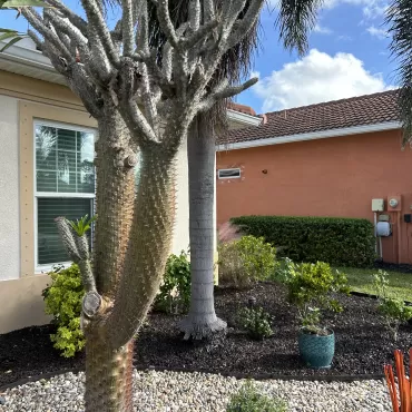 Brown Landscape Rubber Mulch