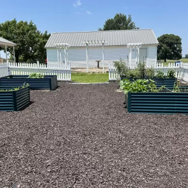 Raised Garden Bed with Brown Rubber Mulch