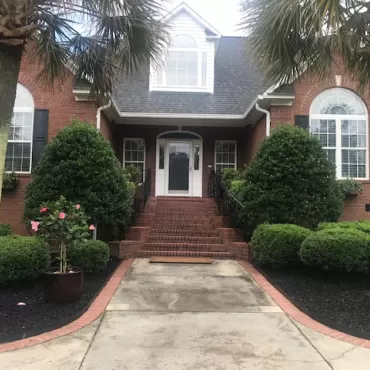 After photo of black rubber mulch replacing pine needle mulch