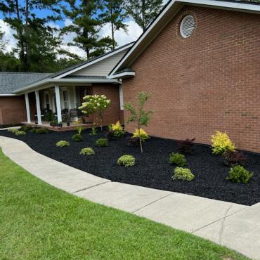 Brick house with black rubber mulch beds against house