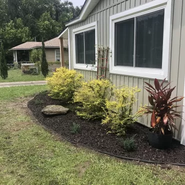 Garden bed in front yard with brown rubber mulch