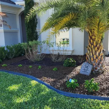 Rubber Mulch in Front Yard Landscaping