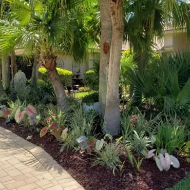 Rubber Mulch Next to Driveway