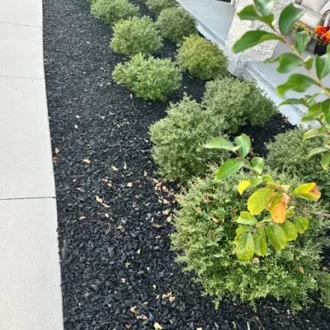 Black Rubber Mulch Sideyard Landscaping