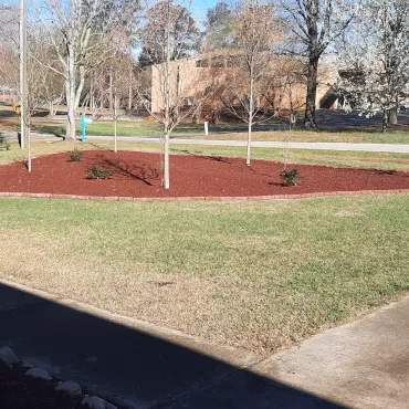 Landscaping island with red rubber mulch